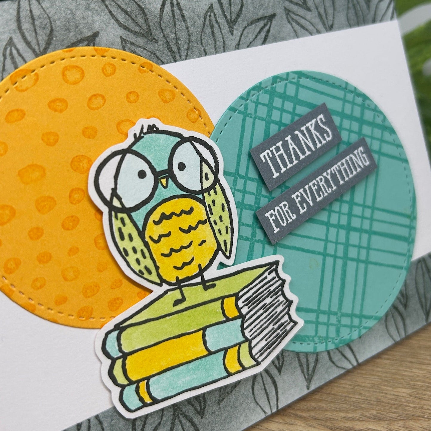 Bird & Books Thank You Card