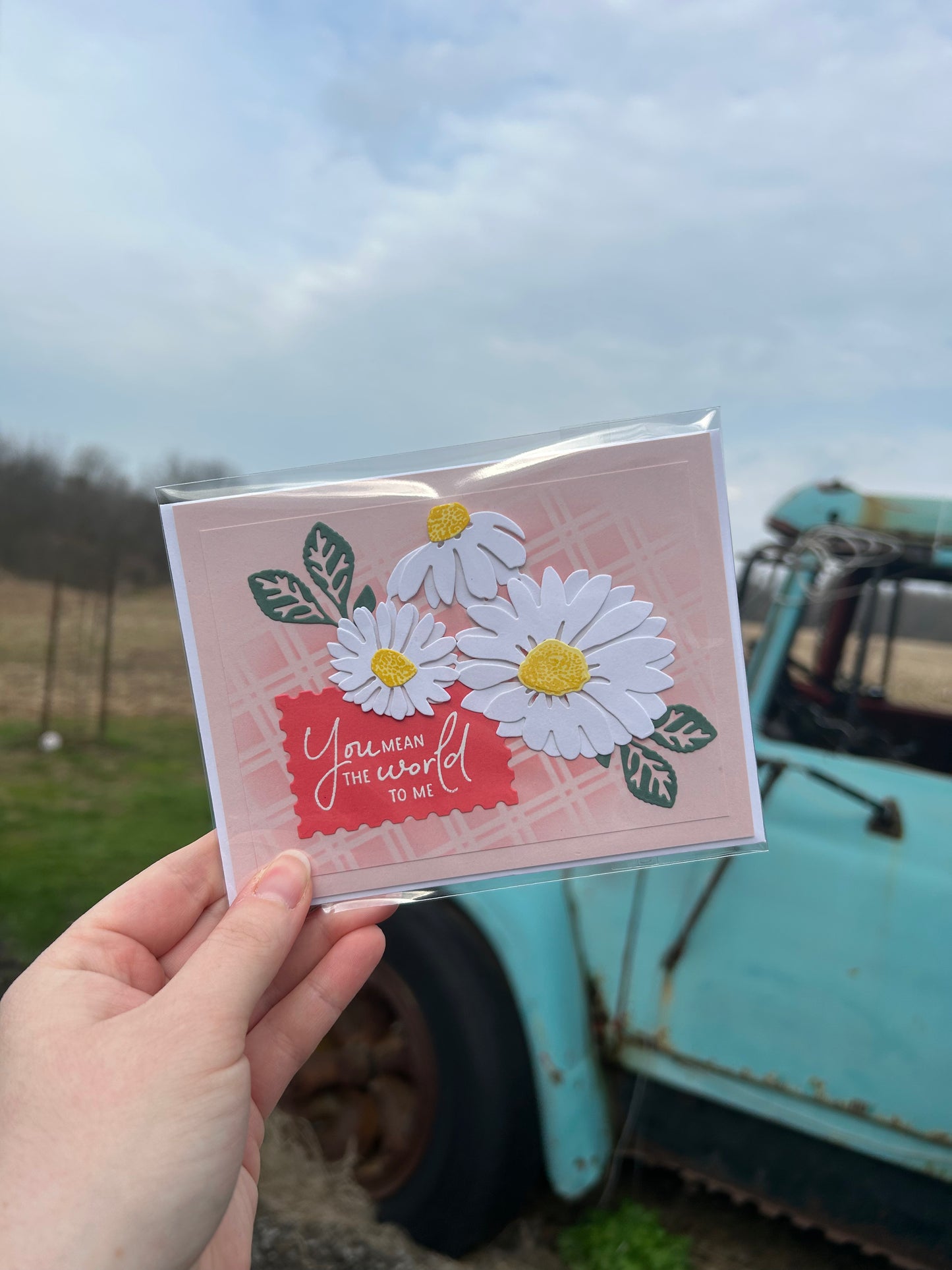 World to Me Daisies Handmade Card
